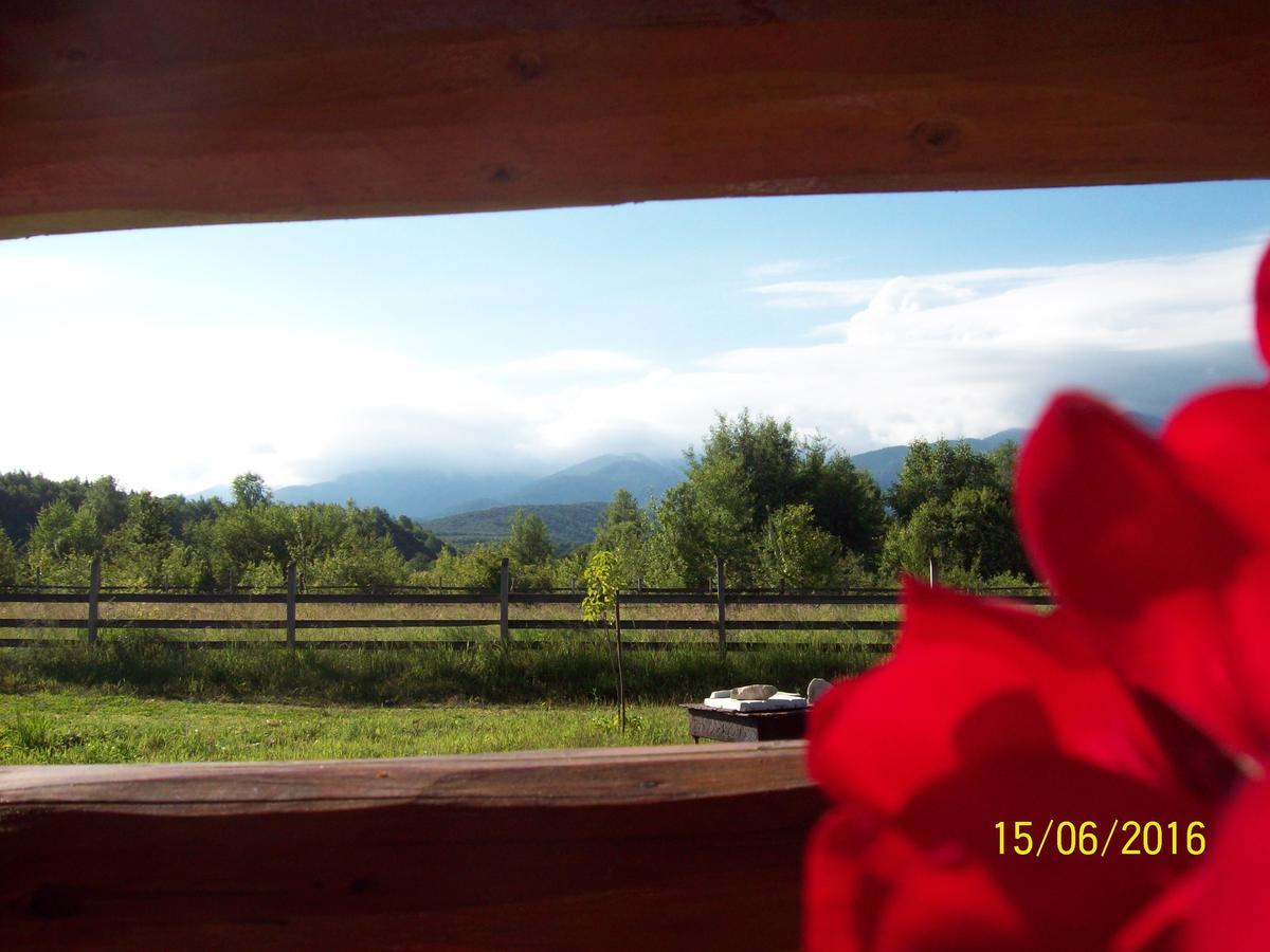 Musketeers Cabin ポルンバク・デ・スス エクステリア 写真